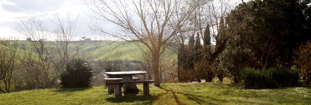Agriturismo Castello Saltemnano Buonconvento Exteriér fotografie