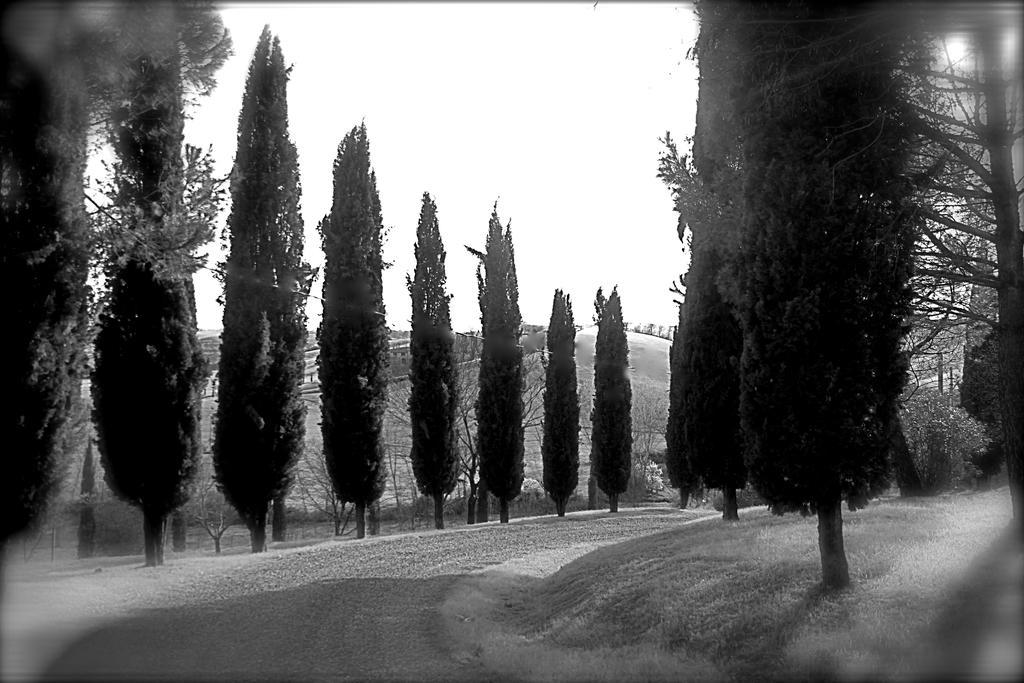 Agriturismo Castello Saltemnano Buonconvento Exteriér fotografie