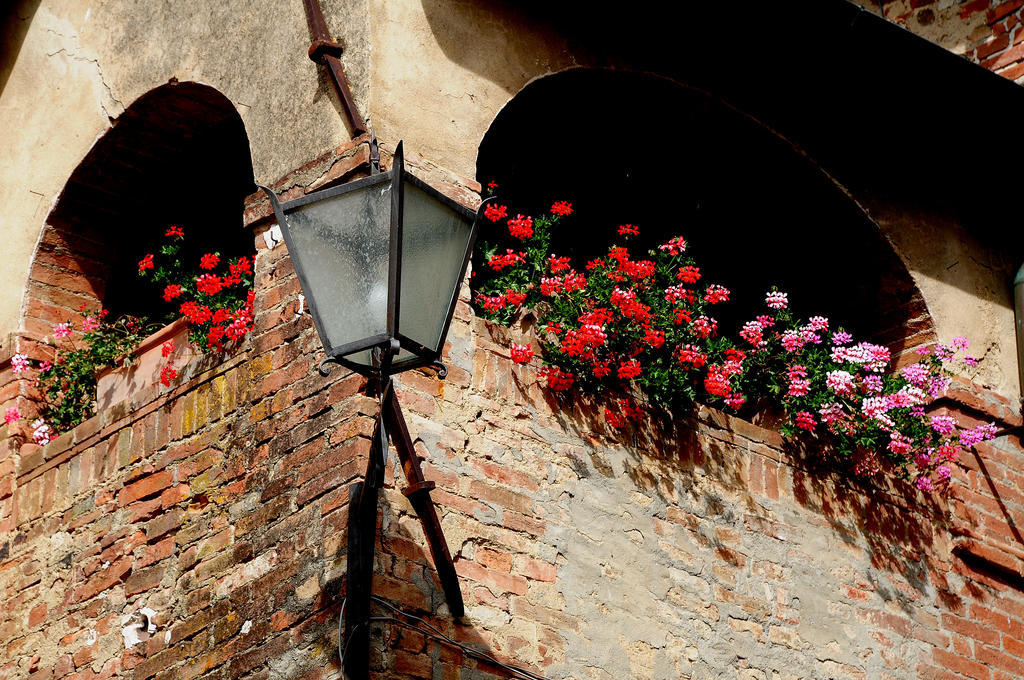 Agriturismo Castello Saltemnano Buonconvento Exteriér fotografie