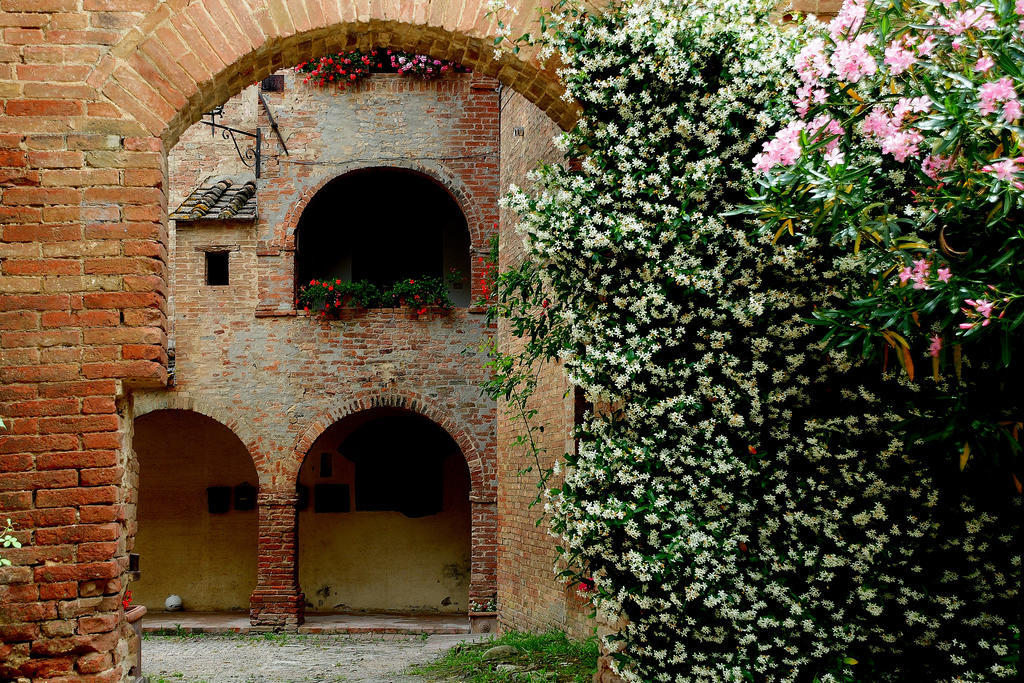 Agriturismo Castello Saltemnano Buonconvento Exteriér fotografie