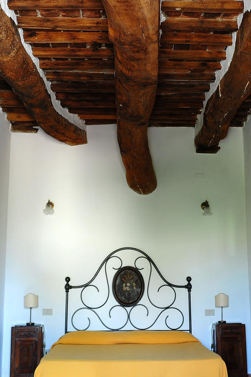Agriturismo Castello Saltemnano Buonconvento Pokoj fotografie