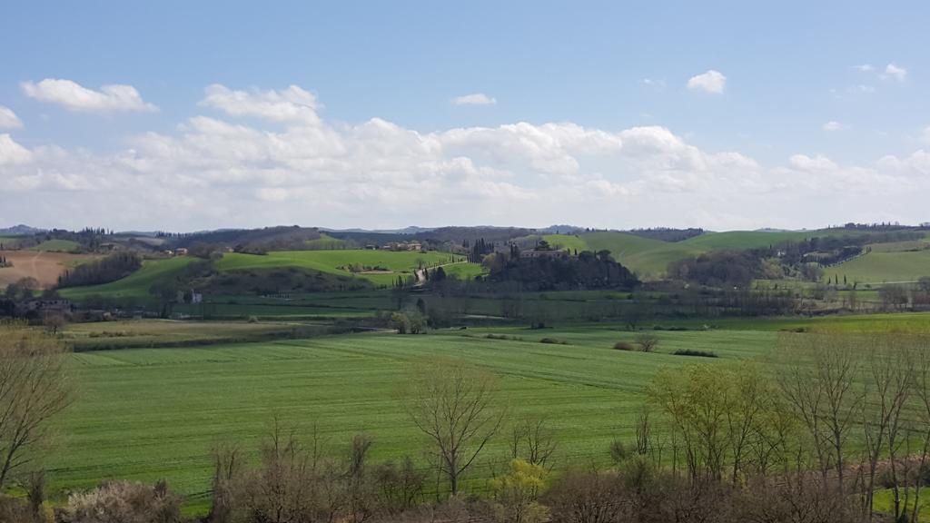 Agriturismo Castello Saltemnano Buonconvento Exteriér fotografie