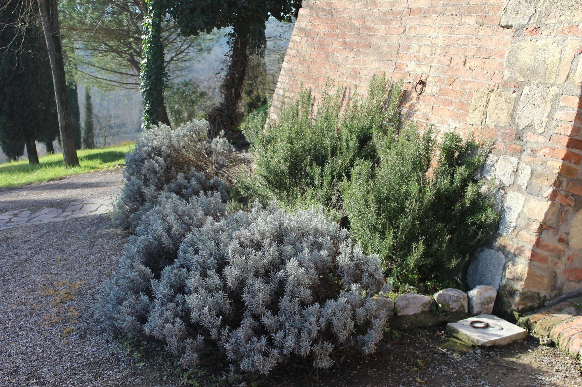 Agriturismo Castello Saltemnano Buonconvento Exteriér fotografie